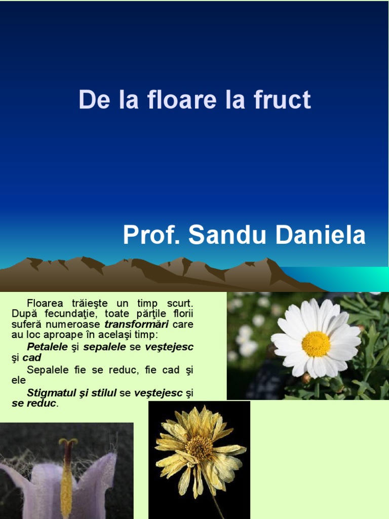 Fructul Prezentare | PDF