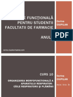 Curs anatomie X.pptx