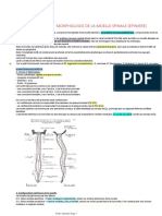 La moelle spinale.pdf