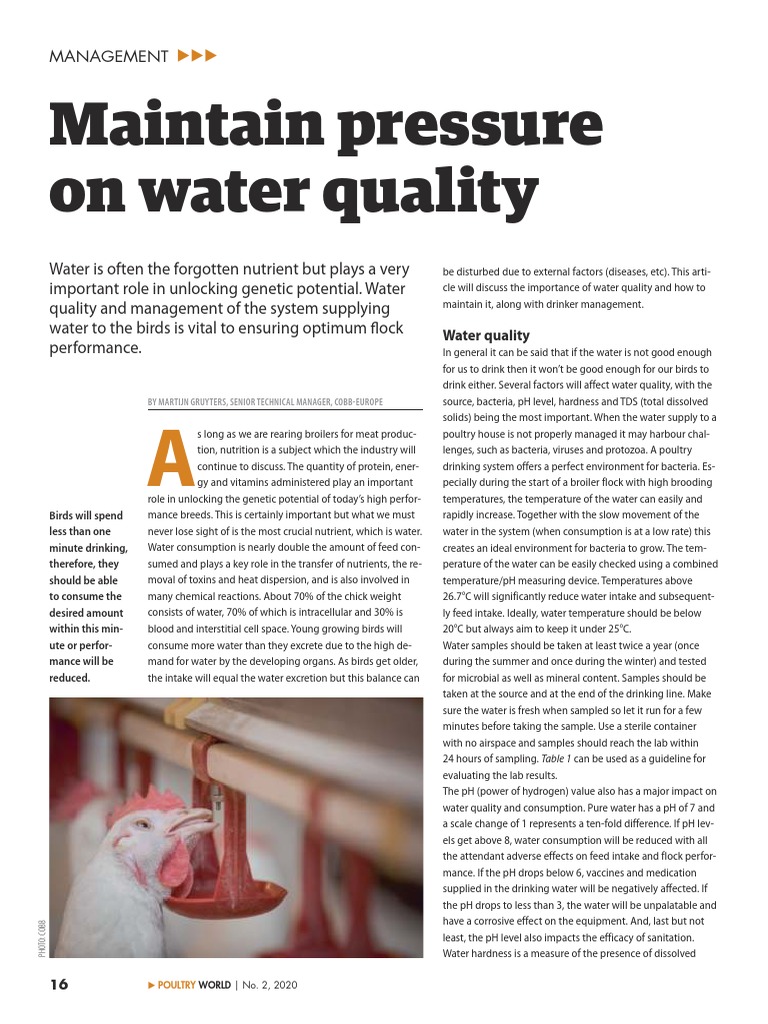 Maintain Pressure On Water Quality Management PDF Magnesium Water