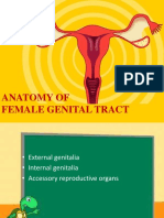 Anatomy of Female Genital Tract