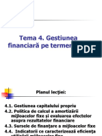 Tema 4 Gestiunea Financiara Pe TL