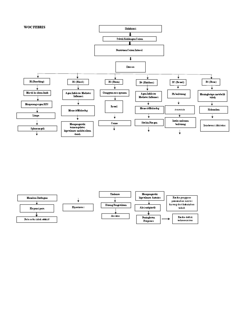 Pathway WOC Febris pada Anak | PDF