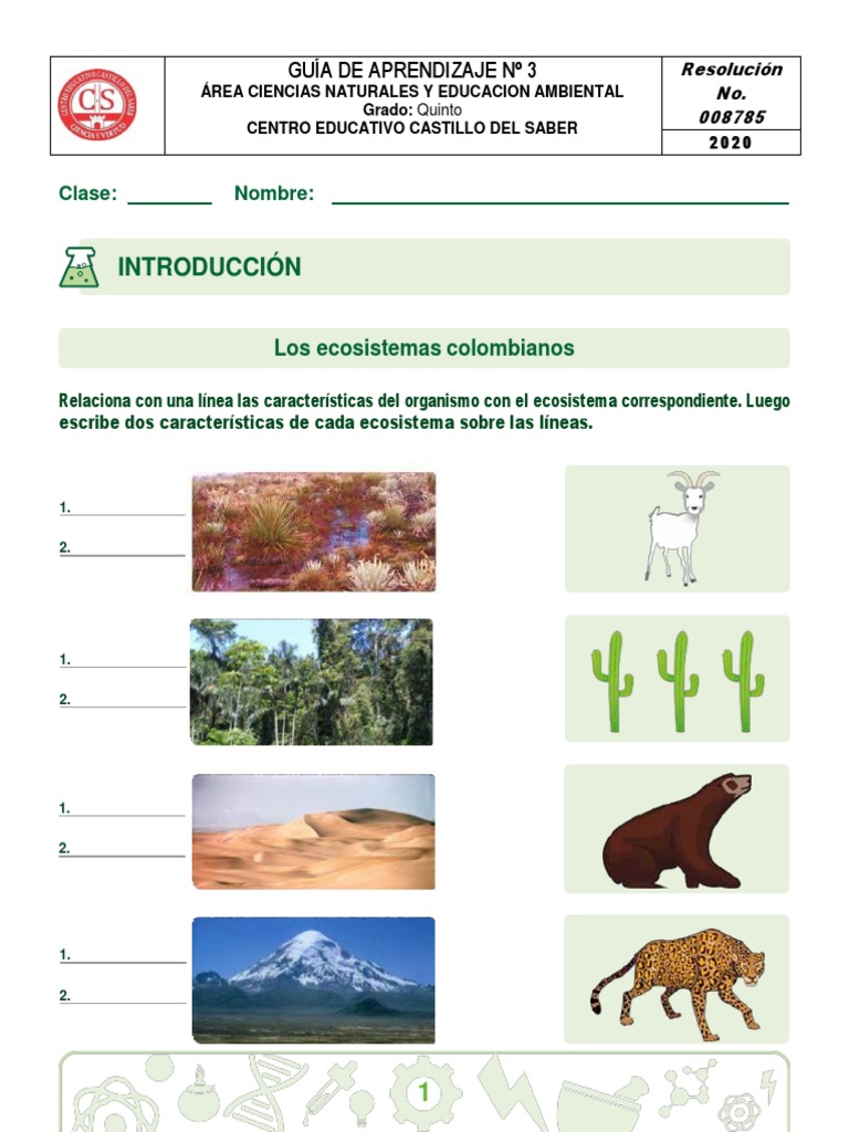 Guia 3 Grado Quinto Ciencias Naturales PDF Ecosistema Desierto
