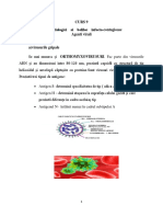 Curs 9 Boli Infectioase PDF