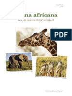 African Wildlife Report