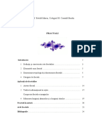 Fizica - Clasa A Xi-A - Fractali PDF