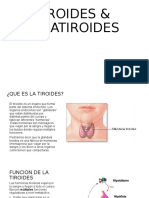 Tiroides & Paratiroides