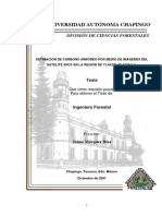 Carbono Aerea - Marquez - Diaz - Jaime - 2008 PDF