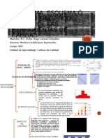 Diagrama, esquema ó cuadro sinóptico acerca de las herramientas de calidad.pptx