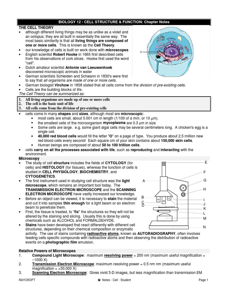 Biology Form 4 - Cell Structure & Function | PDF | Endoplasmic ...