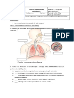 Sistema respiratorio prueba