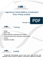 Pagrindinių Rizikos Šaltinių Investuojant Forex Rinkoje Analizė