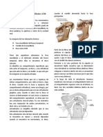 Articulación temporomandibular ATM-1.docx