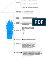 Mapa Conceptual.