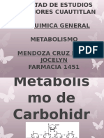 induccion metabolismo
