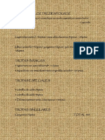 Loz Trezientogroz PDF