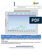 Reporte HLG Huallpoca 2020 (Rio El Ingenio) 02-01-2020 PDF