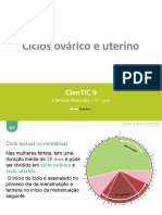 n3 Ciclos Ovc3a1rico e Uterino