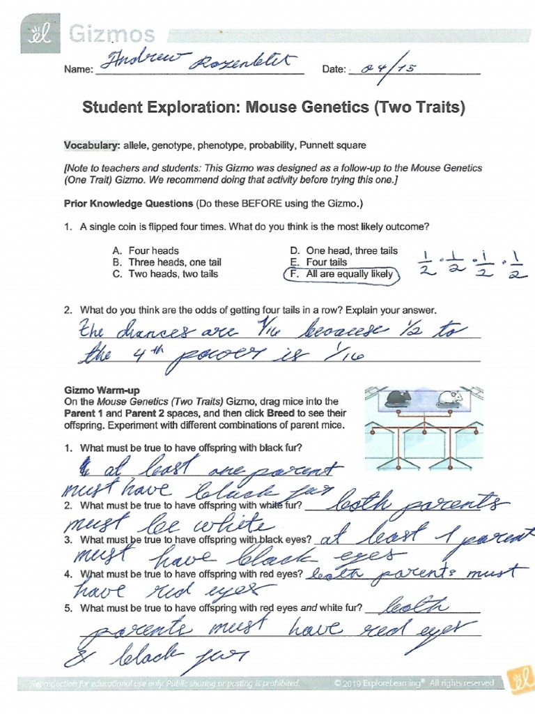 Mouse Trait Gizmo