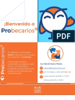 Bienvenido A Probecarios! PDF
