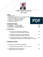 CASO II-curriculum.pdf