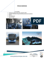Platinum Servicios PDF