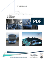 Platinum Servicios.pdf