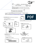 Ramas de La Biologia