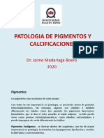 Patología de pigmentos y calcificaciones