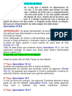 AS 7 TAÇAS DA IRA DE DEUS 02.docx