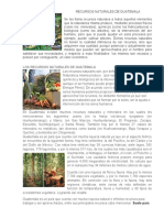 RECURSOS NATURALES DE GUATEMALA1.docx