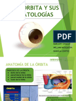 Diapositivas de Patologias Ocularesv