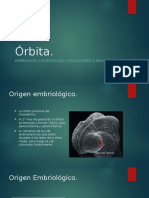 embriologia orbitariar