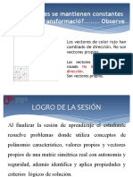 Polinomio Característico, Valores Propios y Vectores Propios