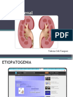 Litiasis Renal Expo Corta