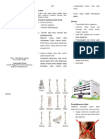 leaflet fraktur