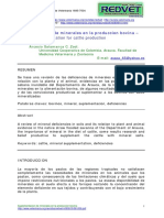 Suplementacion de minerales en producion bovina.pdf