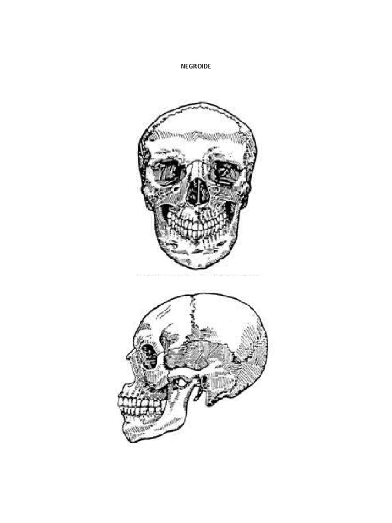 NEGROIDE | PDF