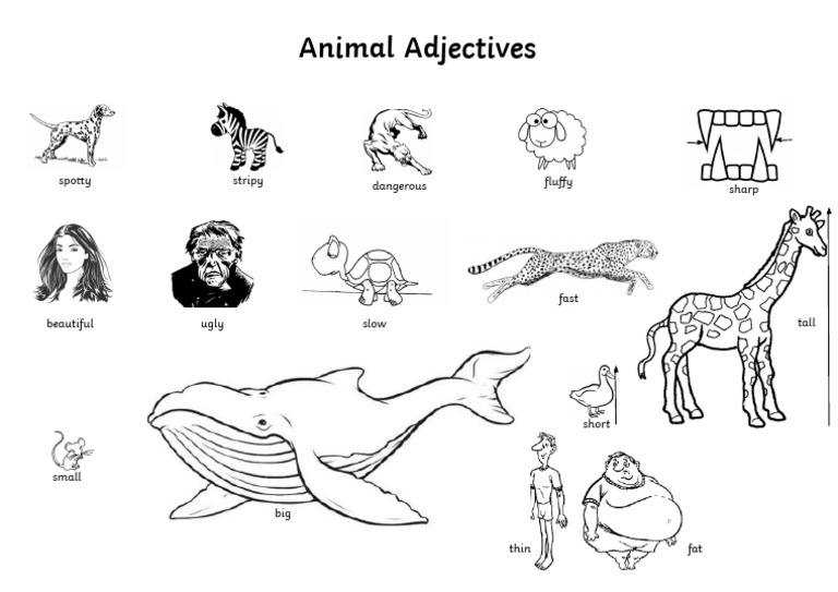 Animal Adjectives Word Mat | PDF