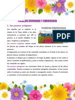 Geografia Fuerzas Exogenas y Endogenas PDF