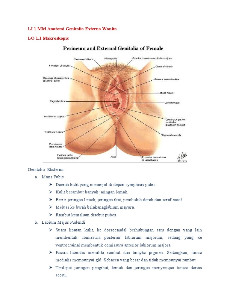 Vera Sotnikova bilan porno jinsiy aloqa