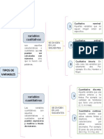 Cuadro Sinoptico Tipo de Variables