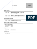 Curriculum Vitae Template PDF