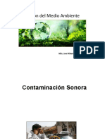 Gestión del Medio Ambiente 11.pptx