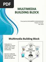 Multimedia Building Block: Presented by Gholamreza Kakamanshadi Panjab University Nov. 2013