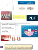 Gingivitis y Maloclusion Diapos