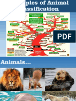 Principles of Animal Classification - 2020 PDF