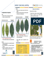Volante B+ZN Arte Fnal PDF