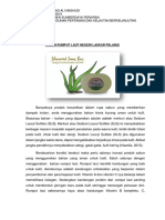 Mokhamad Ali Mashudi (170351100019) Sabun Rumput Laut Laskar Pelangi Tugas PPKB 2 PDF